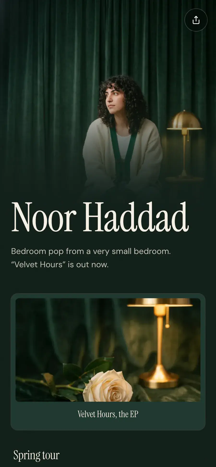 Noor Haddad’s Olaa page