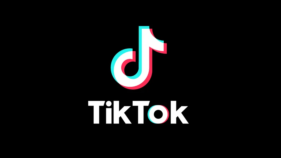 Screenshot of TikTok business account settings